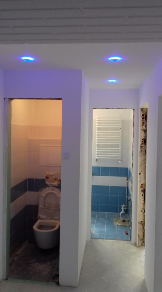 Widok na dwa pomieszczenia łazienkowe w trakcie prac: z lewej toaleta z otwartą klapą sedesu, z prawej kabina prysznicowa z grzejnikiem drabinkowym, niebieskie płytki na ścianach i podłodze, sufit...