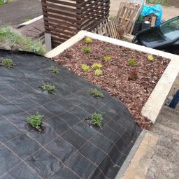 PROBUD Krzysztof Gołda - Przygotowanie terenu pod ogród: czarna agrowłóknina z wyciętymi otworami pod sadzonki, rabata wysypana korą, w tle drewniana altanka i zaparkowany samochód.