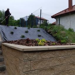 PROBUD Krzysztof Gołda - Wykonanie murka z gotowych elementów, wykonanie nasadzeń - Wałbrzych