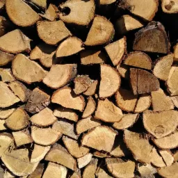 Stos pociętego drewna opałowego, ukazujący słoje i naturalne odcienie brązu, ułożony przy drewnianej konstrukcji w słoneczny dzień.