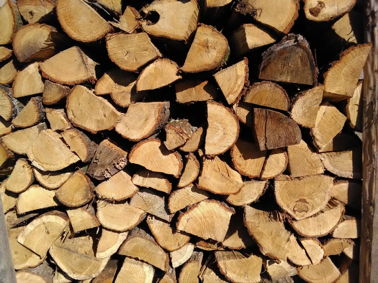 Stos pociętego drewna opałowego, ukazujący słoje i naturalne odcienie brązu, ułożony przy drewnianej konstrukcji w słoneczny dzień.