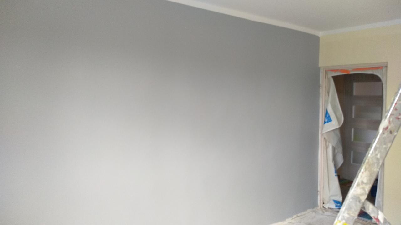 Świeżo pomalowana szara ściana z białą listwą przypodłogową, zabezpieczone drzwi wejściowe folią malarską, fragment drabiny malarskiej po prawej stronie.