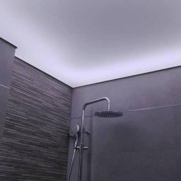 Firma Usługowa Majer - Nowoczesna łazienka z szarą mozaikową ścianą, deszczownicą i podświetlanym sufitem, ukazana z perspektywy żabiej
