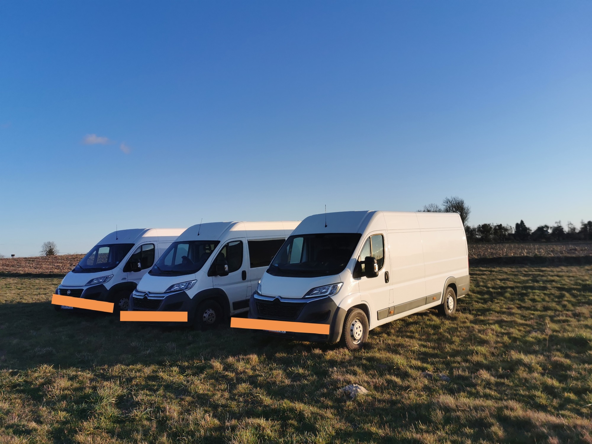 Trzy białe busy zaparkowane rzędzie na trawiastym polu pod błękitnym niebem, z pomarańczowymi paskami zasłaniającymi tablice rejestracyjne.