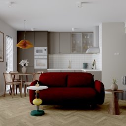 Projektowanie mieszkania Łódź 11