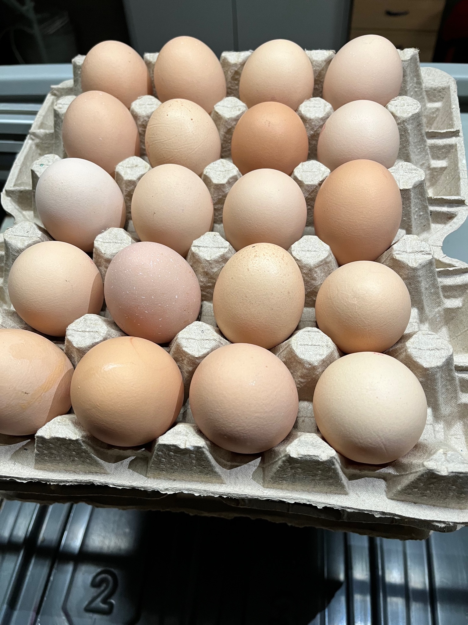 Kartonowe opakowanie z dwudziestoma brązowymi produktami spożywczymi, różniące się odcieniami, ułożone w rzędach, widoczne fragmenty blatu z numerem 2.