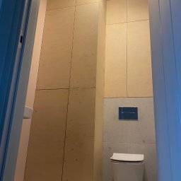 Łodyga - Zabudowa piecyka i pralki, szafka nad WC . Sklejka liściasta