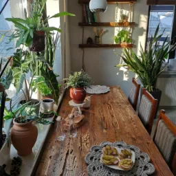 Rustykalny stół z litego drewna, otoczony roślinami doniczkowymi w słonecznym wnętrzu, z widocznymi śladami użytkowania i dekoracyjnymi podkładkami pod talerze.