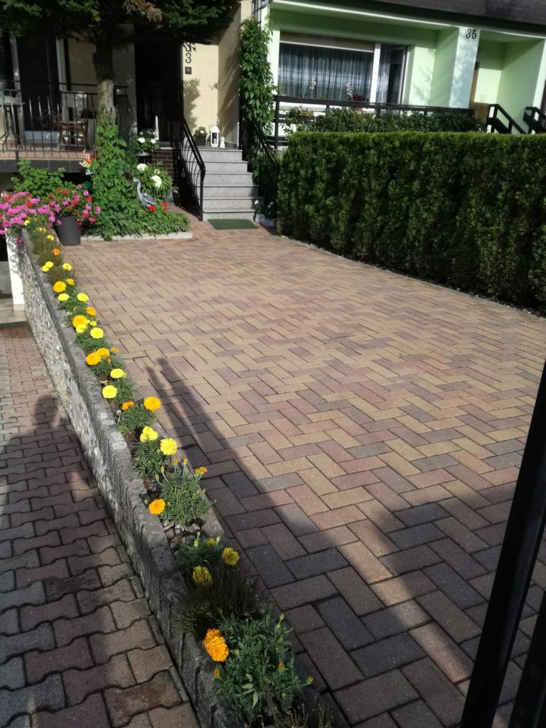 Kolorowa kostka brukowa ułożona w jodełkę na podjeździe, z rabatą kwiatową wzdłuż murku i zielonym żywopłotem w tle.