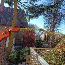 Zieleń i Drewno - Pracownik na wysokości w uprzęży tnie drzewo piłą spalinową, a rozdrobnione gałęzie wyrzucane są z rębaka na tle domu z czerwonej cegły.