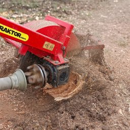 Zieleń i Drewno - Czerwona frezarka do pni w trakcie pracy, obrabiająca pień drzewa, z widocznymi wiórami i ziemią wokół.
