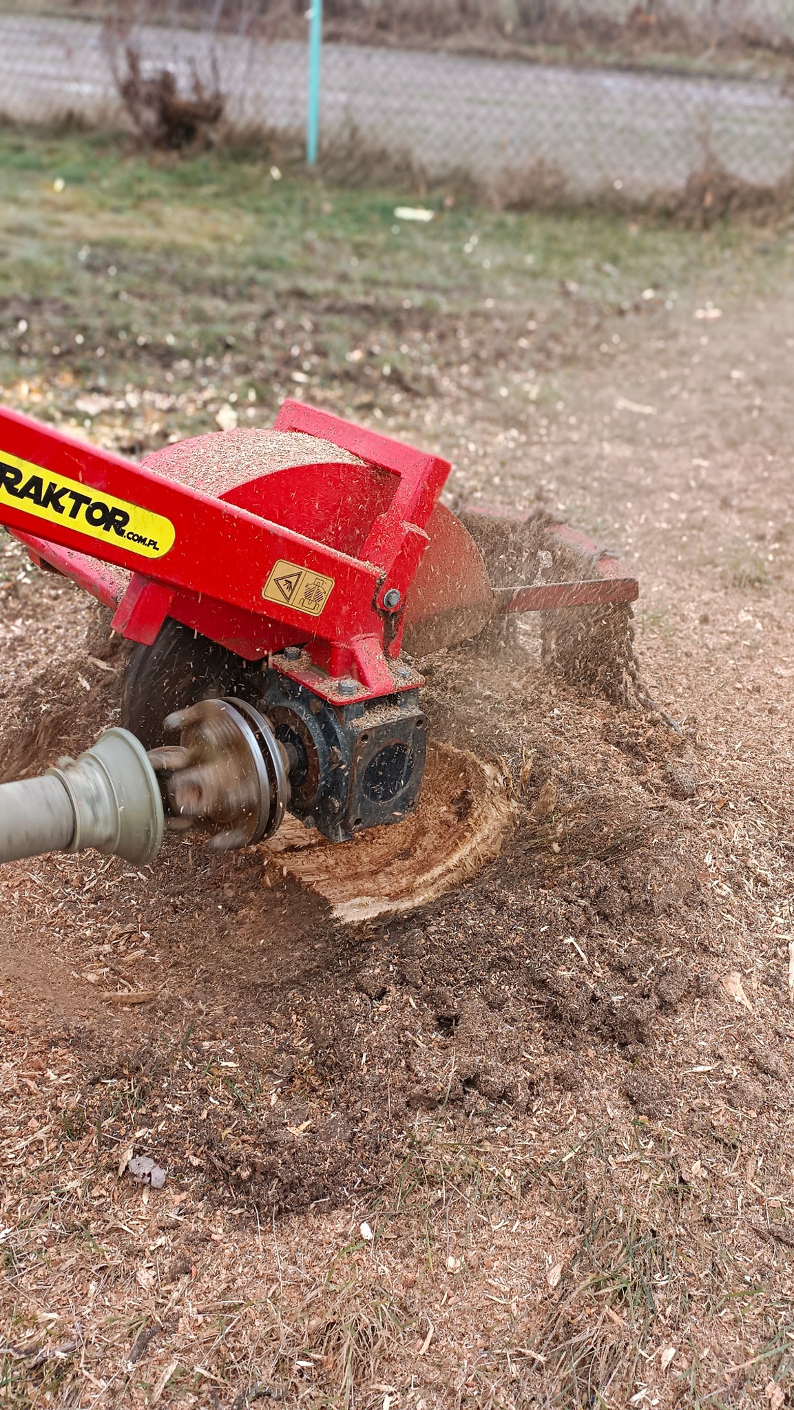 Czerwona frezarka do pni w trakcie pracy, obrabiająca pień drzewa, z widocznymi wiórami i ziemią wokół.