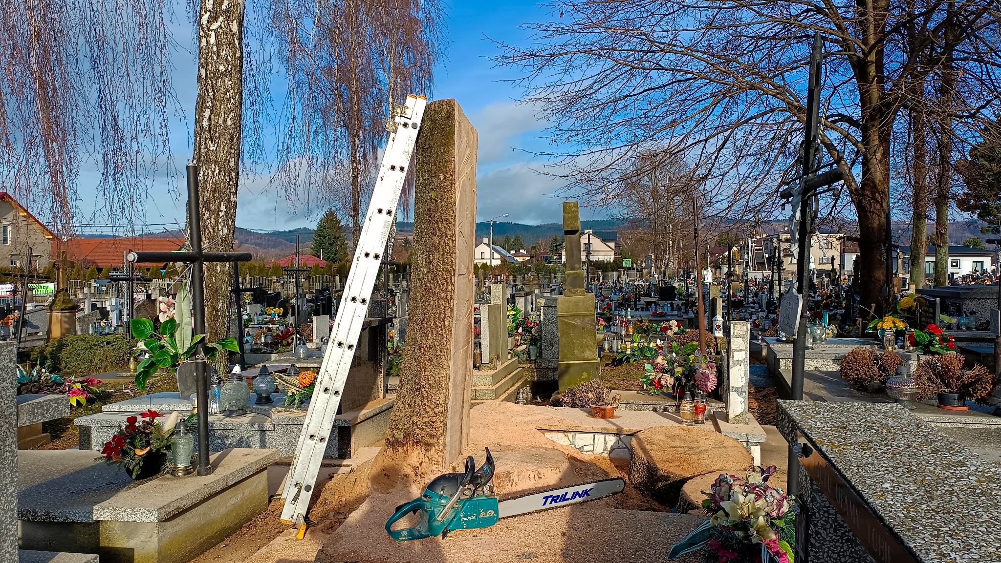 Prace przy pomniku na cmentarzu: drabina oparta o nagrobek, obok leży piła łańcuchowa w trocinach, widok na liczne groby i drzewa bez liści w tle.