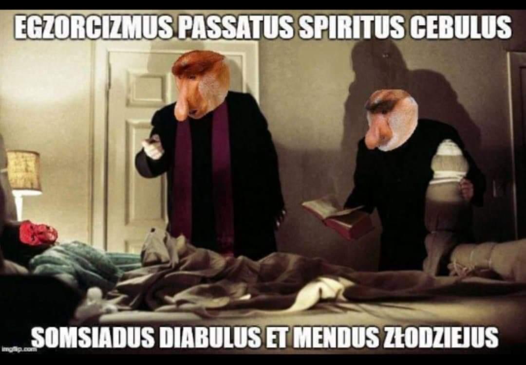 Humorystyczny obraz przedstawiający dwóch mężczyzn z głowami małp nosaczy, ubranych w stroje przypominające sutanny, wykonujących egzorcyzmy nad osobą leżącą w łóżku, z tekstem w języku łacińskim...