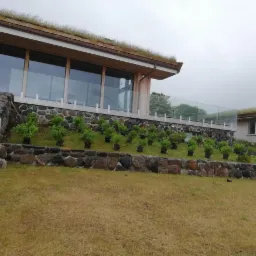 Budynek z zielonym dachem i kamiennym murem, przed którym ustawiono rzędy sadzonek w czarnych doniczkach, przygotowanych do posadzenia.