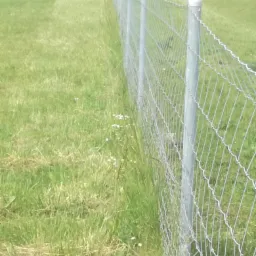 Długi odcinek metalowej siatki ogrodzeniowej z szarymi słupkami, biegnący wzdłuż trawnika i drogi.