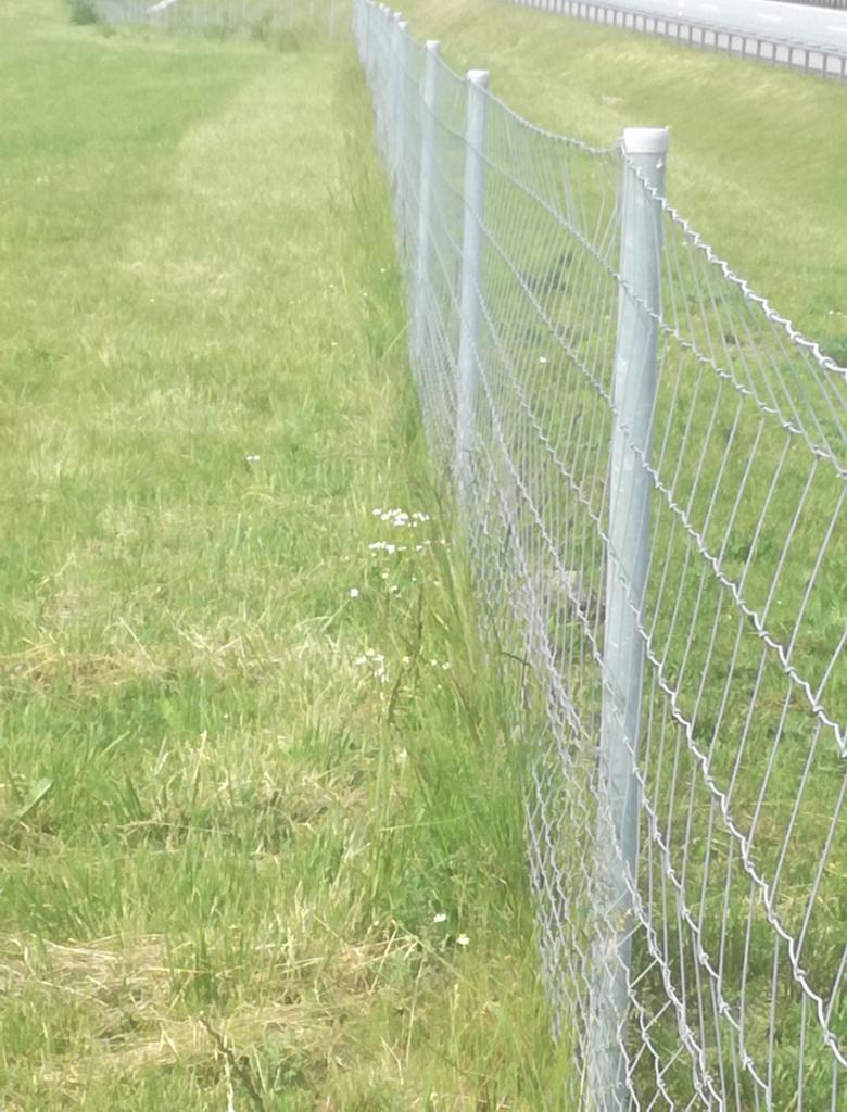 Długi odcinek metalowej siatki ogrodzeniowej z szarymi słupkami, biegnący wzdłuż trawnika i drogi.