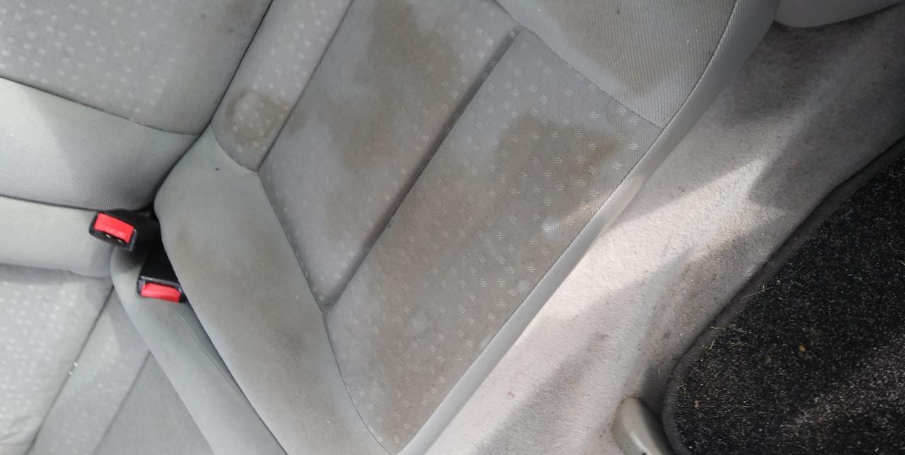 Brudne, jasne obicie fotela samochodowego z widocznymi plamami przed czyszczeniem, pas bezpieczeństwa z czerwoną klamrą.