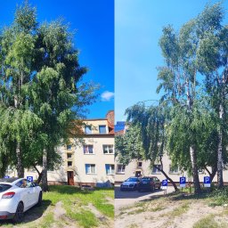 Pielęgnacja ogrodów Gdańsk 1