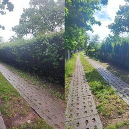 Pielęgnacja ogrodów Gdańsk 2