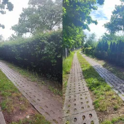 Długa, betonowa ścieżka z ażurowych płyt prowadzi wzdłuż gęstego żywopłotu i drzew, ukazując zadbany ogród z perspektywy spacerowej.