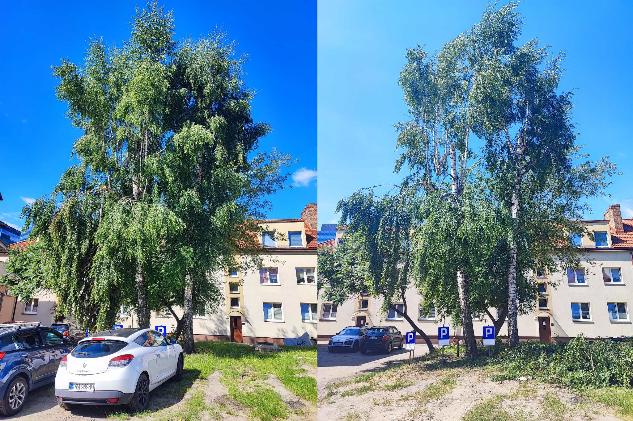 Porównanie stanu drzewa przed (po lewej) i po przycięciu gałęzi (po prawej) na tle budynku mieszkalnego i zaparkowanych aut.