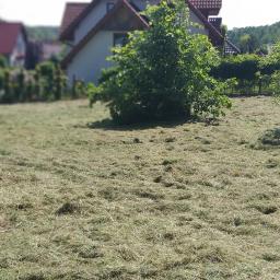 Koszenie trawy Wola filipowska 4