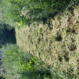 Koszenie trawy Wola filipowska 3