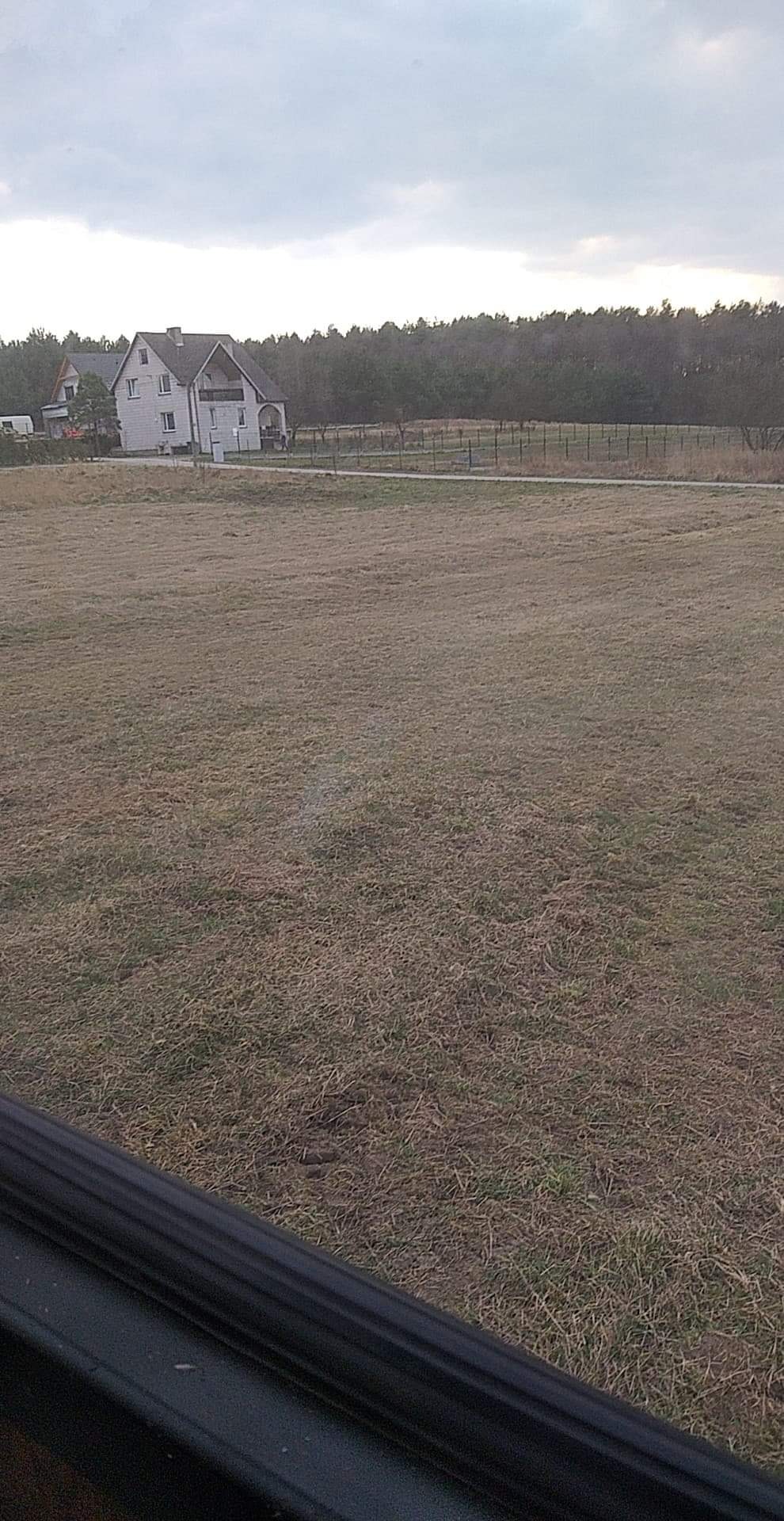 Rozległy teren z zaniedbaną trawą, widok na dom jednorodzinny i las w tle, pochmurne niebo.