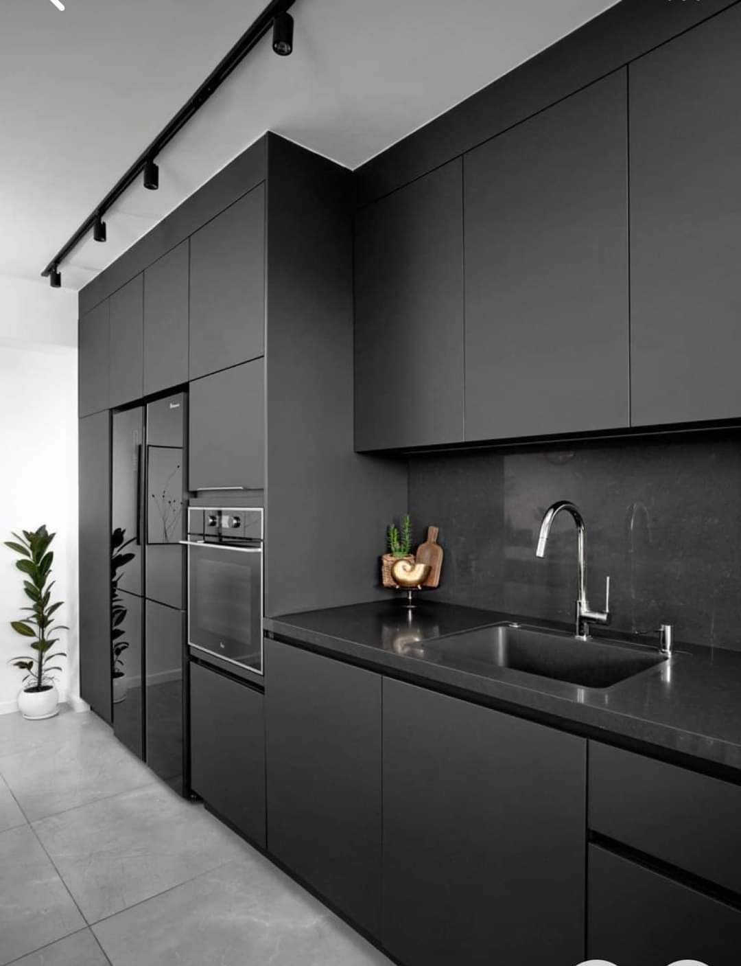 Minimalistyczna, czarna zabudowa kuchenna z matowymi frontami, oświetleniem szynowym i rośliną w tle, podkreślająca nowoczesny design.