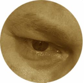 adminero - Programista Orzesze