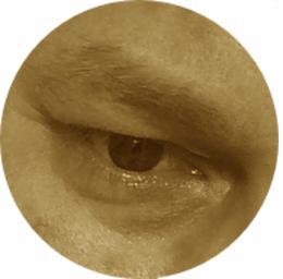 Portret oka z brwią, w sepii, mocne zbliżenie, okrągła ramka