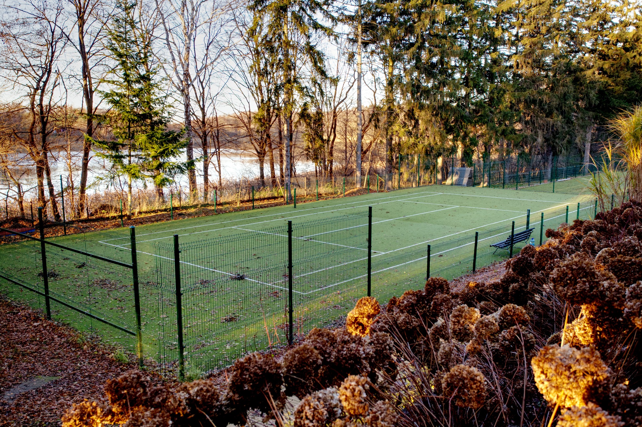 Zielony kort tenisowy otoczony drzewami i brązowymi kwiatami hortensji w jesiennym słońcu, widok zza ogrodzenia.