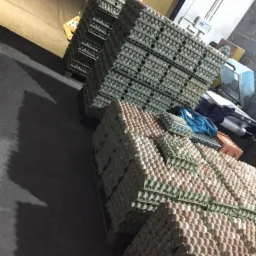 Palety z wytłaczankami wypełnionymi produktami w magazynie, widoczne różne odcienie skorupek.