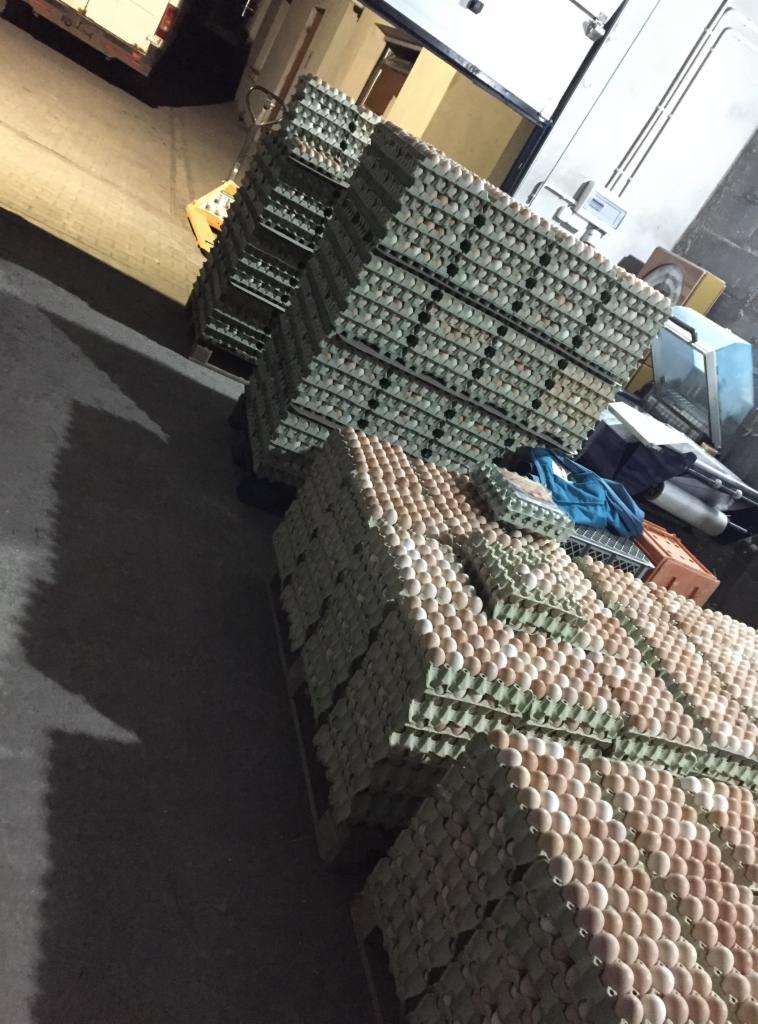 Palety z wytłaczankami wypełnionymi produktami w magazynie, widoczne różne odcienie skorupek.