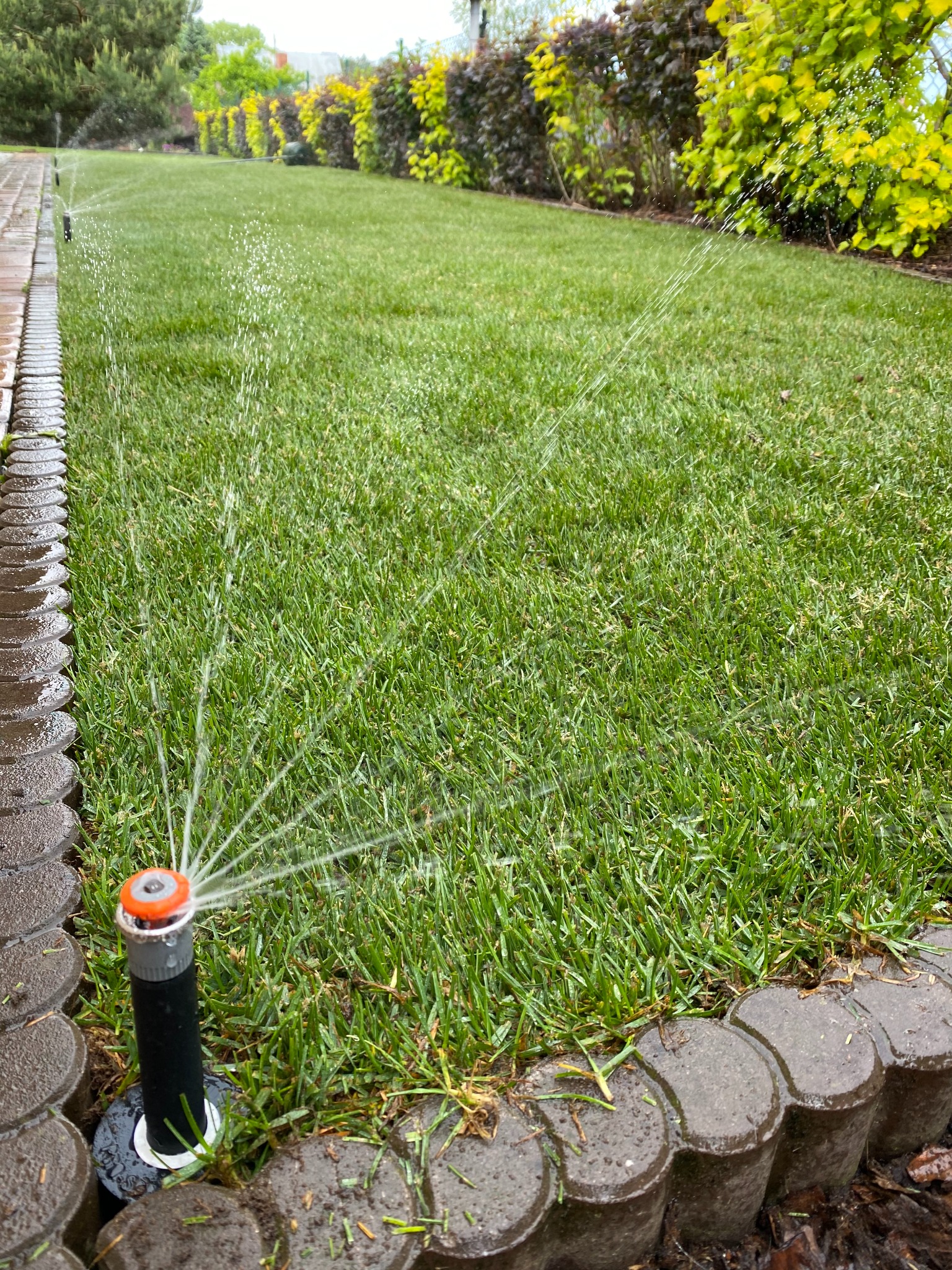 Montaż systemu nawadniania