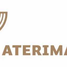 Złote logo firmy ATERIMA HR z abstrakcyjnym profilem twarzy i geometrycznym nakryciem głowy.