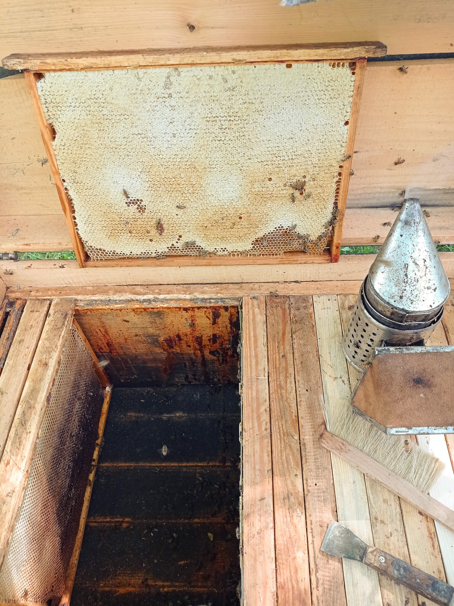 Otwarta skrzynka ula z ramą pełną plastrów miodu, obok dymka pszczelarska, szczotka i dłuto na drewnianej powierzchni.