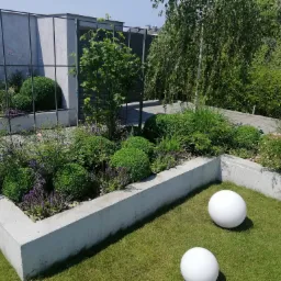 Nowoczesny ogród z betonowymi rabatami, kulistymi krzewami, lawendą, jasną trawą i dekoracyjnymi białymi kulami.