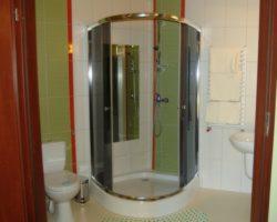 Wnętrze łazienki z kabiną prysznicową narożną, toaletą i umywalką. Widoczne zielone i białe płytki na ścianach oraz brązowe futryny drzwi.