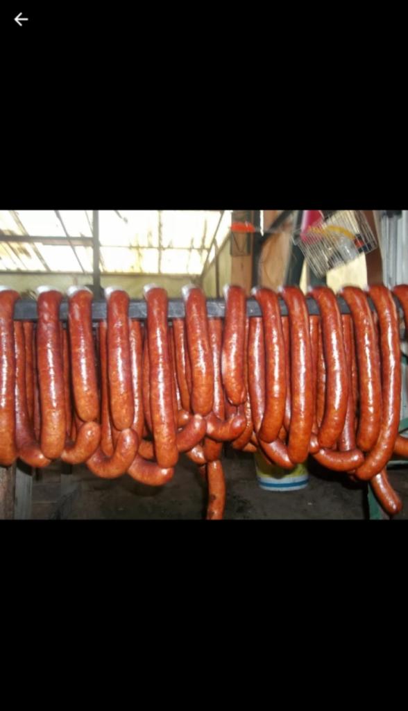 Wędzone kiełbasy zwisające z metalowego drążka w wędzarni, widoczny kubeł w tle.