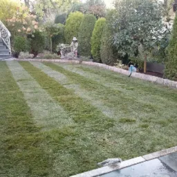 Świeżo ułożona trawa w pasy na ogrodzonym kamiennym obrzeżem trawniku, w tle dekoracje ogrodowe i schody.