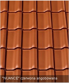 Czerwona dachówka angobowana 'NUANCE' ułożona w regularny wzór, widok z góry, lekki połysk.