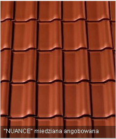Czerwona dachówka angobowana w zbliżeniu, widoczna faktura i regularny układ, delikatny gradient kolorystyczny.