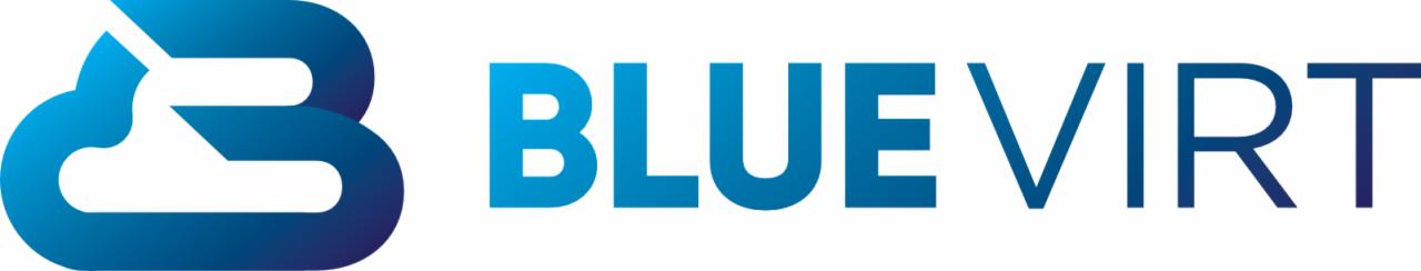 Logo Blue Virt z abstrakcyjnym symbolem chmury w kolorach gradientu niebieskiego, przechodzącego od ciemnego do jasnego.