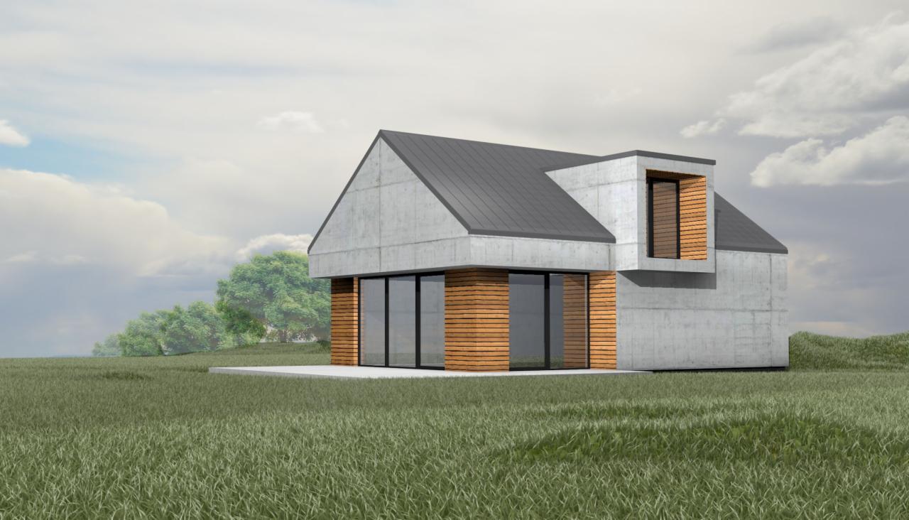 Wizualizacja nowoczesnego domu z betonu i drewna na tle zielonego trawnika i pochmurnego nieba.