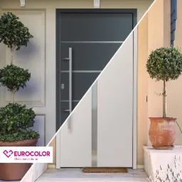 Nowoczesne drzwi wejściowe z długim, pionowym uchwytem, podzielone ukośnie na dwie części: po lewej stronie widoczny fragment klasycznych drzwi i krzew w donicy, po prawej stronie minimalistyczny...