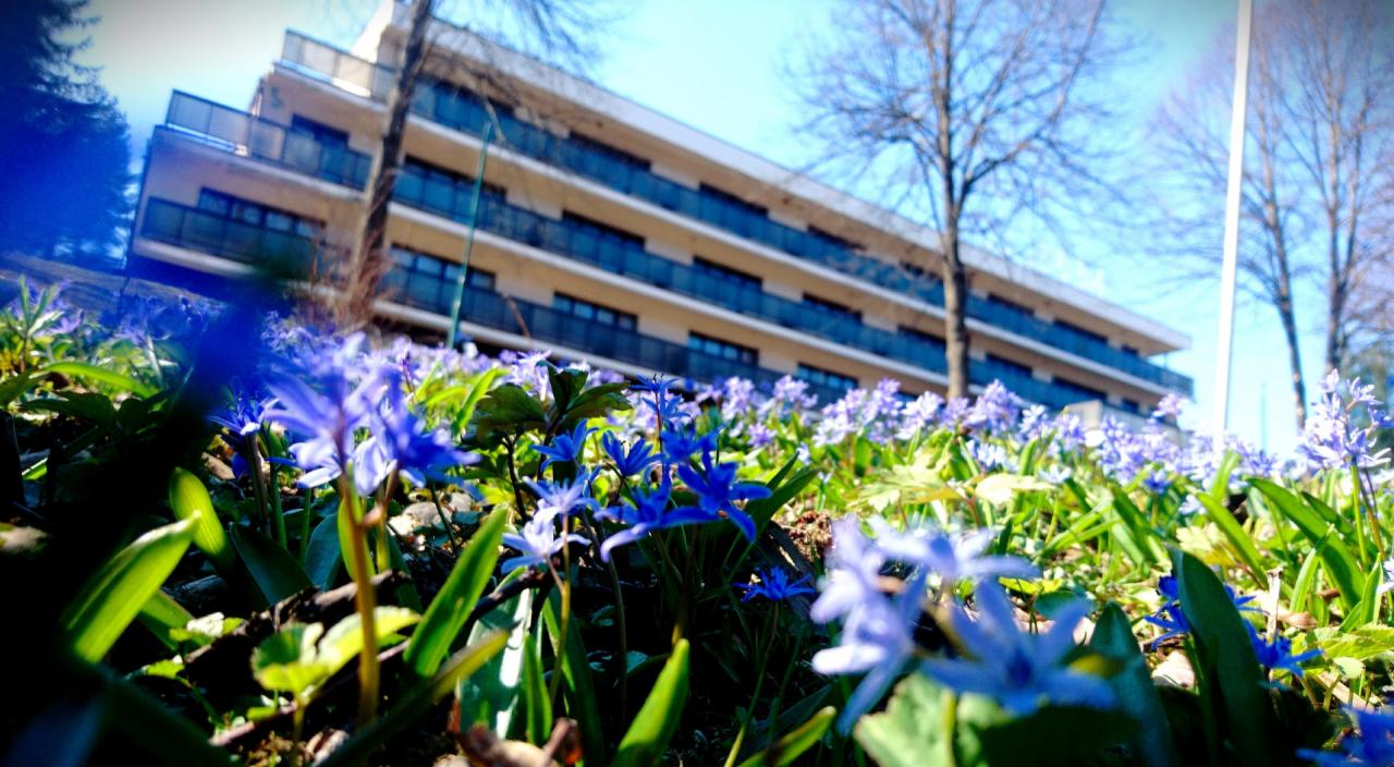 Nowoczesny budynek apartamentowy z balkonami, widziany z perspektywy gruntu przez kobierzec kwitnących na niebiesko cebulic syberyjskich.