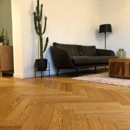 Jasna podłoga ułożona w jodełkę francuską w salonie z ciemną sofą, drewnianym stolikiem kawowym i wysokim kaktusem.