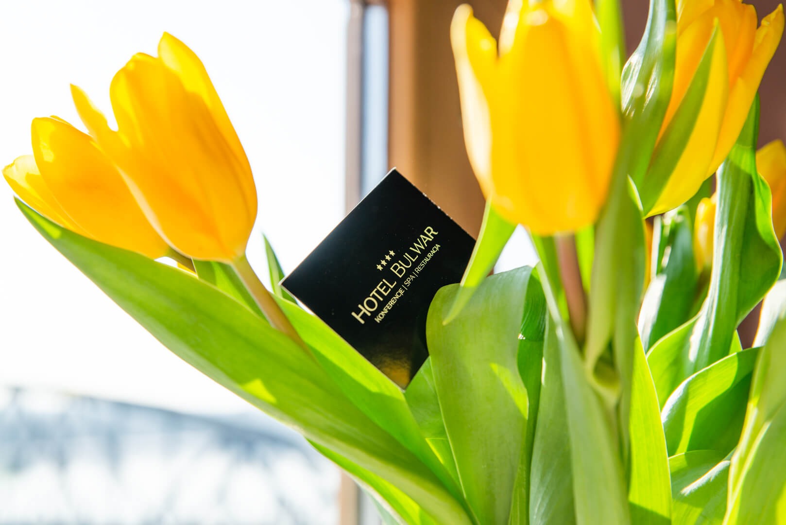 Żółte tulipany w wazonie z wizytówką Hotelu Bulwar Konferencje Spa Restauracja, oświetlone naturalnym światłem.